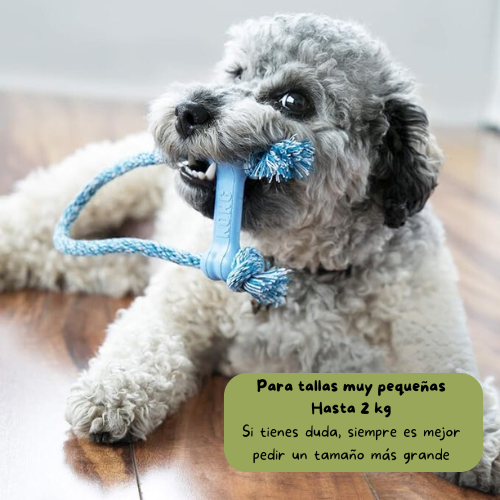 Kong Puppy goodie bone con cuerda