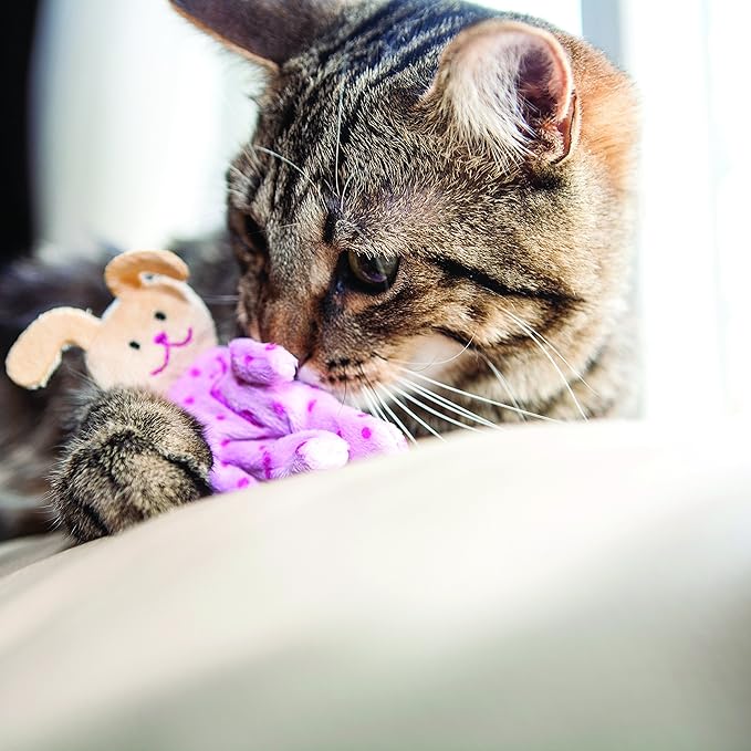 Kong Pijama Buddy con catnip