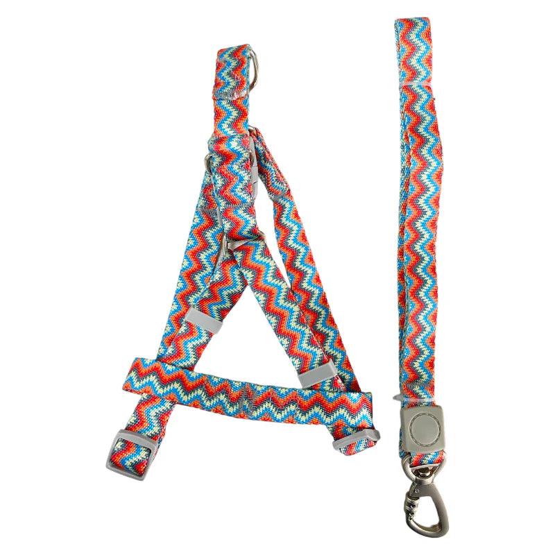 Kit de correa con arnés para perro