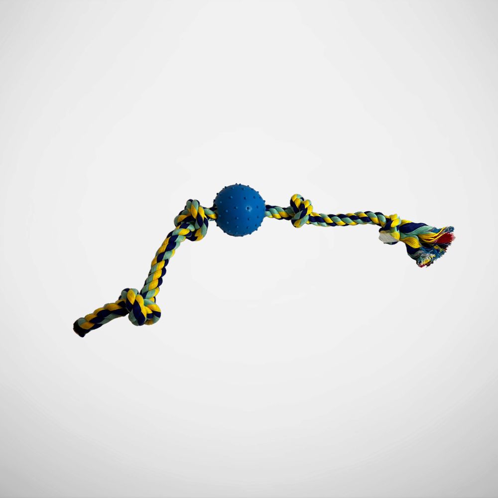 Juguete cuerda con pelota