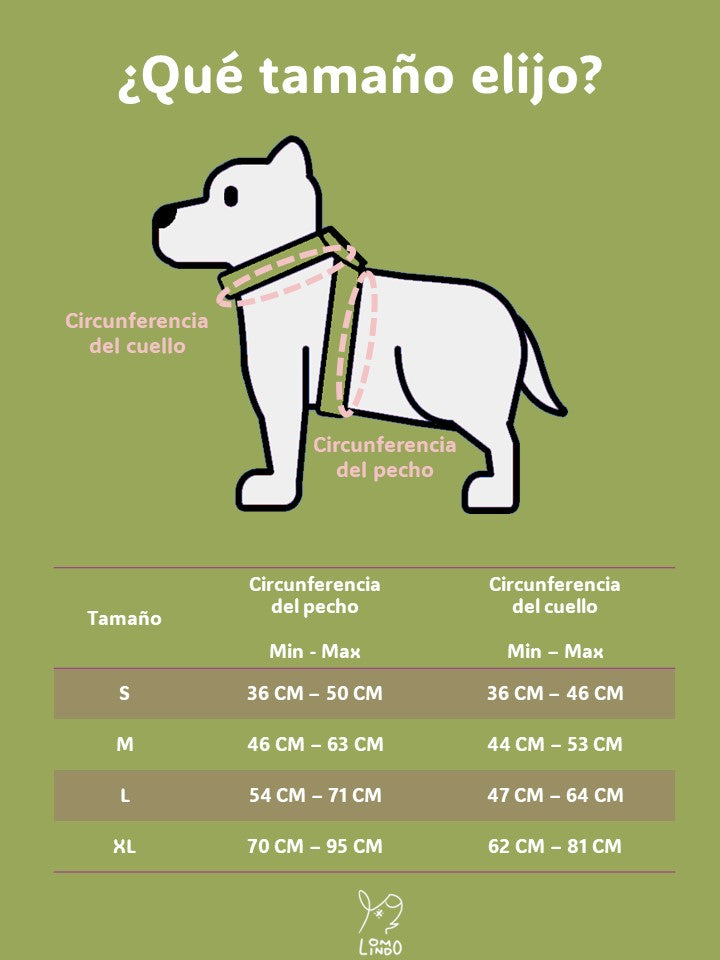 Collar impreso reforzado