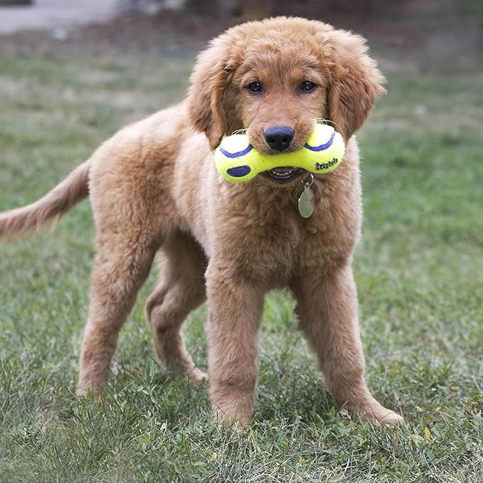 KONG Airdog Squeaker pesa