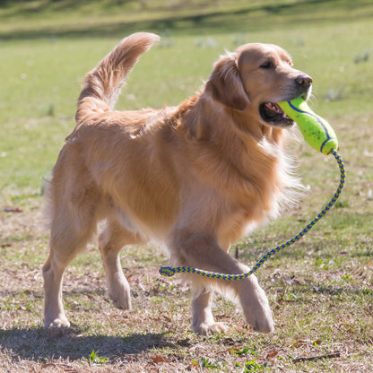 Kong fetch stick con cuerda mediano