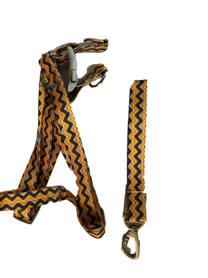 Kit de correa con arnés para perro